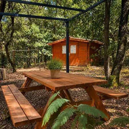 Hébergement de vacances Maison Entre Foret Et Au Calme Sur 6 Pers Jard-sur-Mer