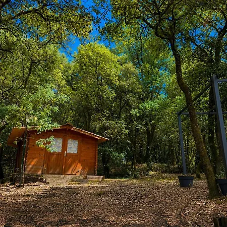 Maison Entre Foret Et Au Calme Sur 6 Pers Jard-sur-Mer